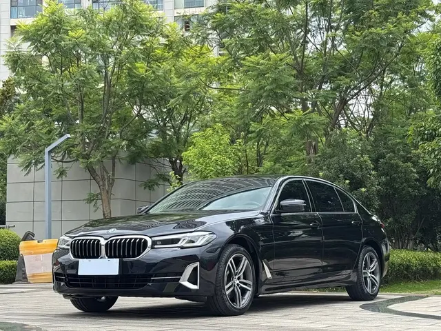 BMW 5 Series 2023 530Li Leading Luxury Package