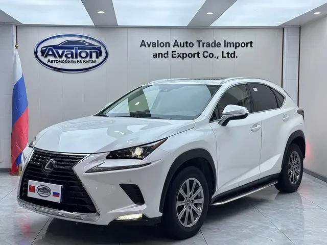 Lexus NX 2020 200 AWD F Sport China VI