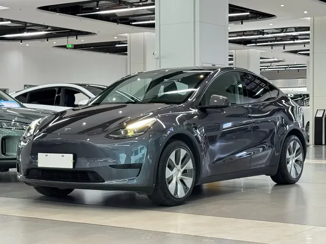 Tesla Model Y 2022 Rear-Wheel Drive Version