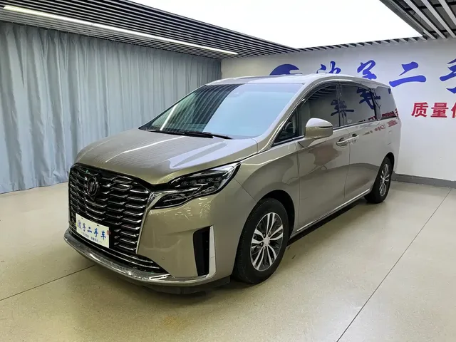 Buick GL8 2023 ES Landmaster Exclusive