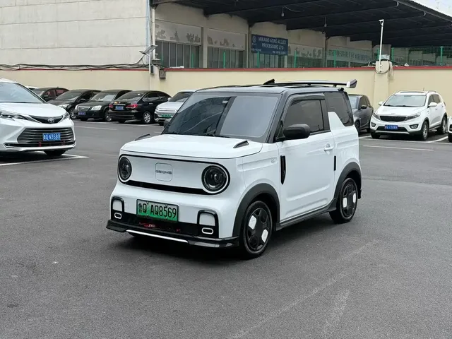 Geely Galaxy Panda 2025 Model Year 210km Panda Kart