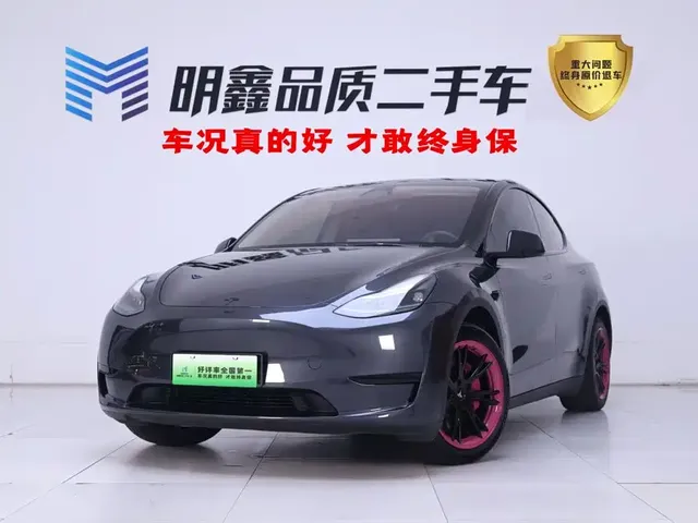 Tesla Model Y 2024 Rear-Wheel Drive Version