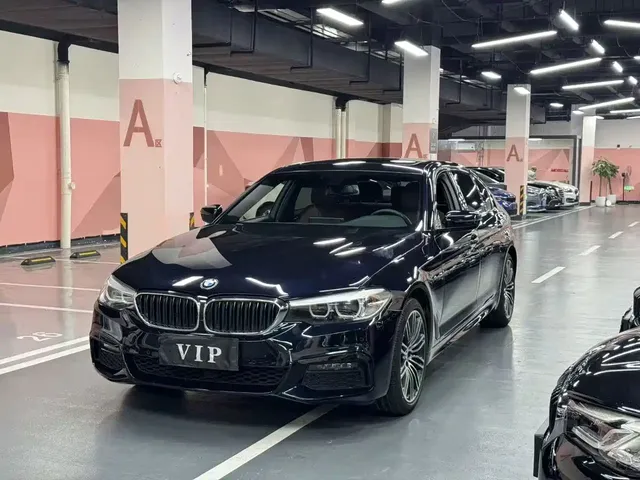 BMW 5 Series 2019 530Li Leading M Sport Package