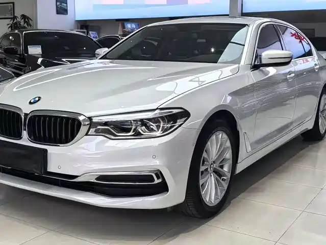BMW 5 Series 2020 530Li Premium Luxury Package