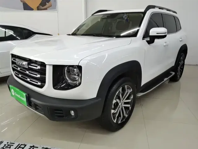 Haval Big Dog 2024 1.5T DCT Border Collie Edition
