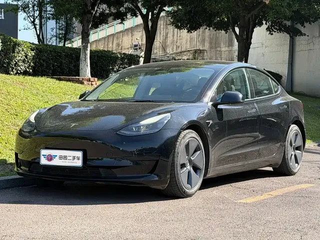 Tesla Model 3 2021 Standard Range Rear-Wheel Drive Upgrade 3D6