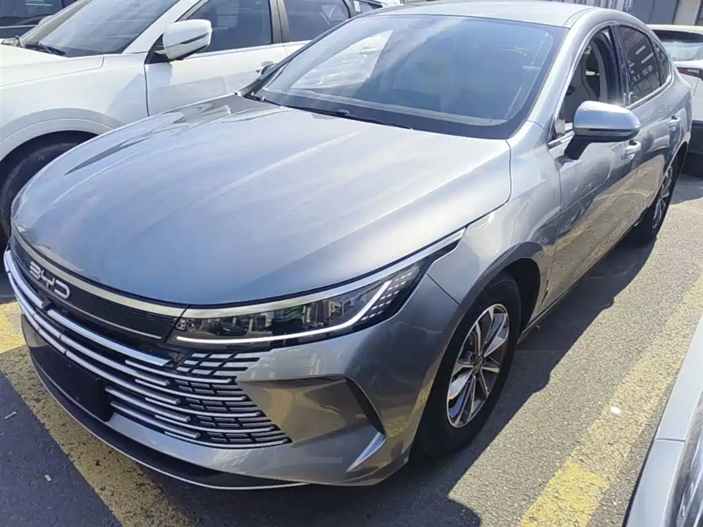 BYD Destroyer 05 2024 Glory Edition DM-i 55KM Luxury