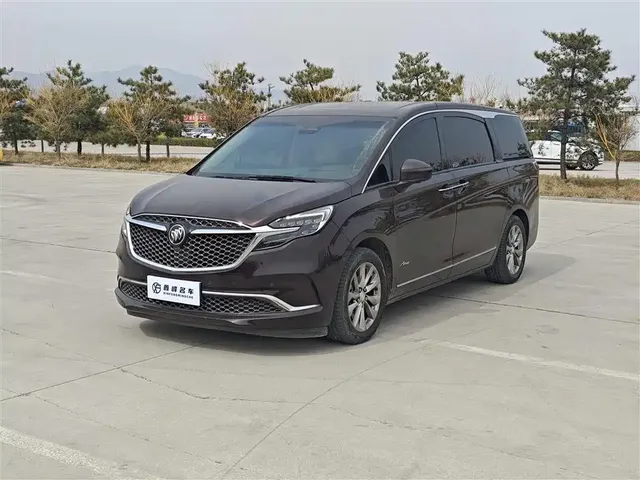 Buick GL8 2020 Avenir Six-Seat Elegance Edition