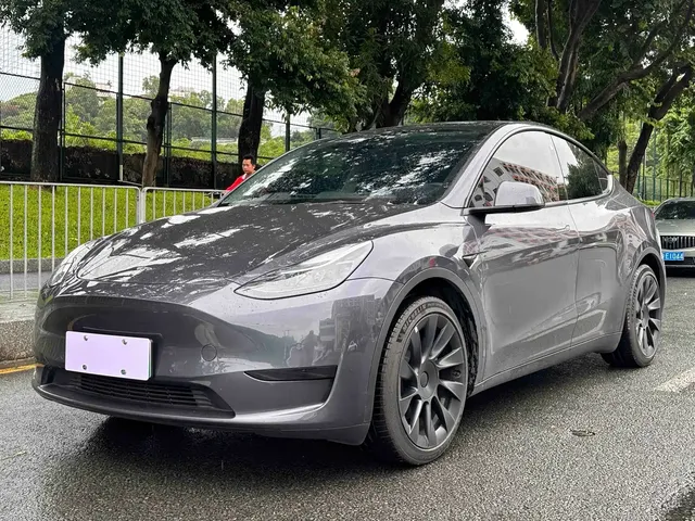 Tesla Model Y 2022 Rear-Wheel Drive Version