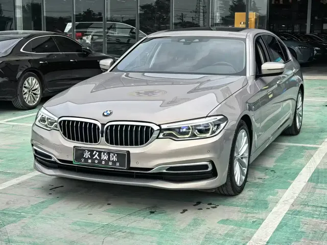 BMW 5 Series New Energy 2020 530Le Luxury Package