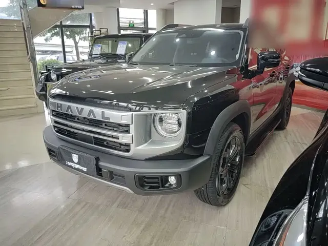Haval Big Dog 2024 1.5T DCT Border Collie Edition