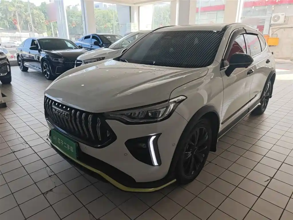 Haval Chitu 2021 Boost Edition 1.5T Platinum Rabbit