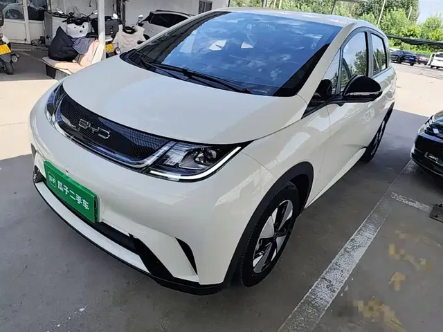 BYD Dolphin 2023 420km Freedom Edition