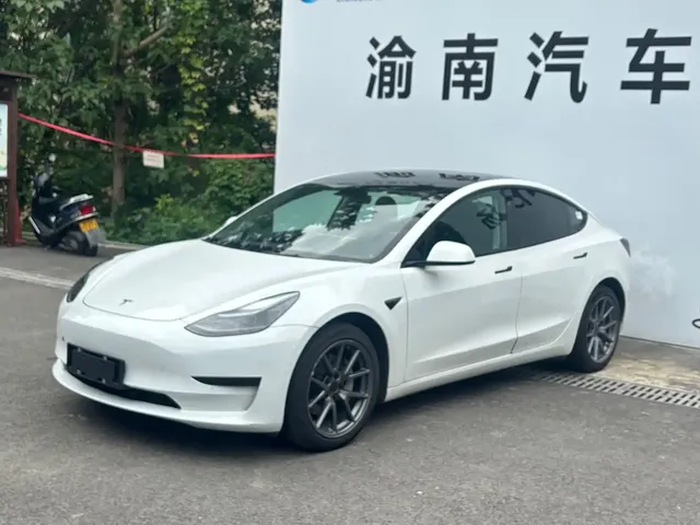 Tesla Model 3 2022 Model Rear-Wheel Drive Version