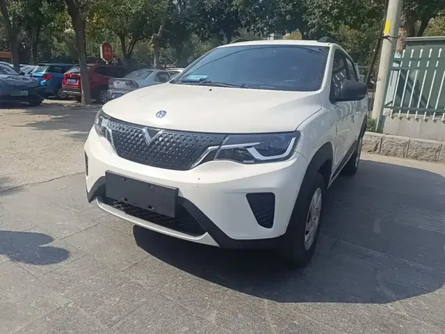 Venucia e30 2021 Elite Edition
