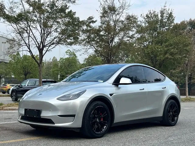 Tesla Model Y 2021 Standard Range Rear-Wheel Drive