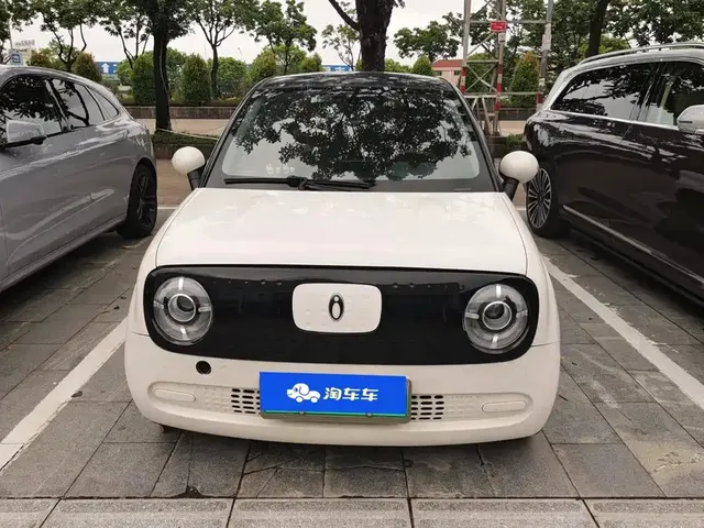 Ora Black Cat 2022 Facelift 301km Pet Edition LFP Version