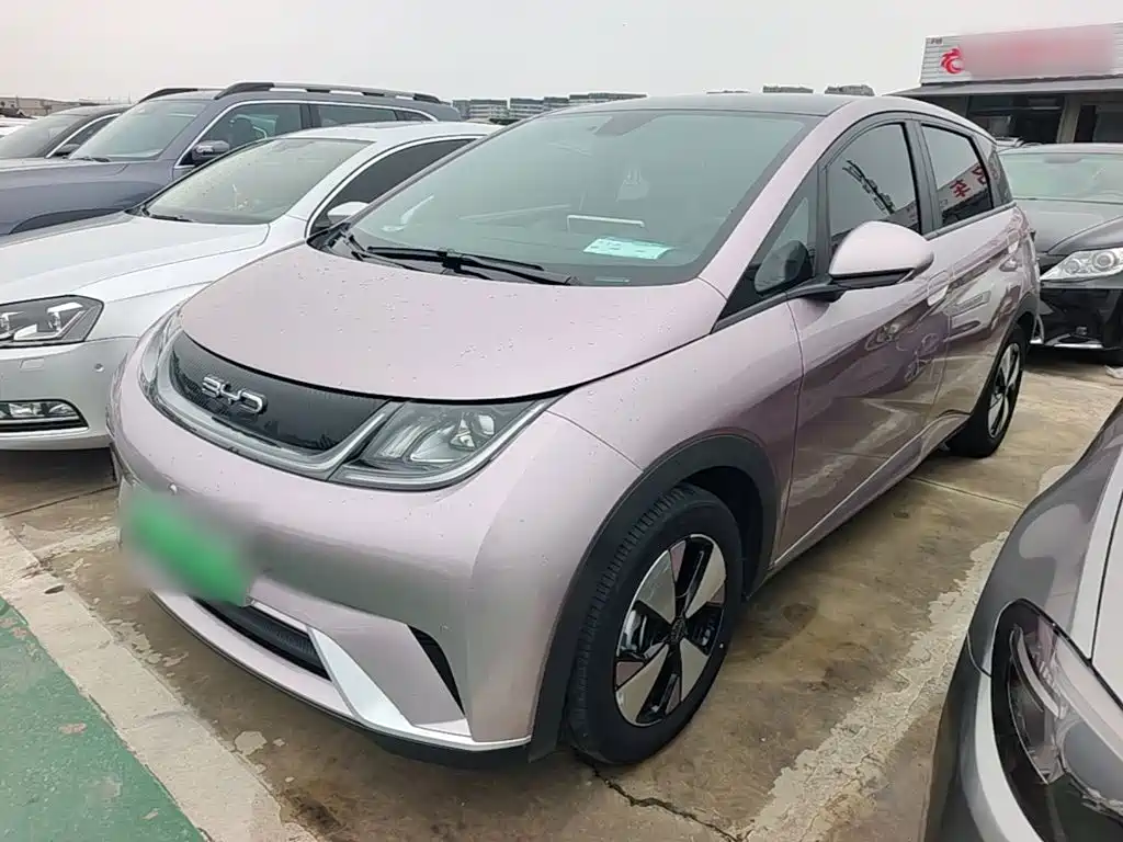 BYD Dolphin 2023 420km Fashion Edition