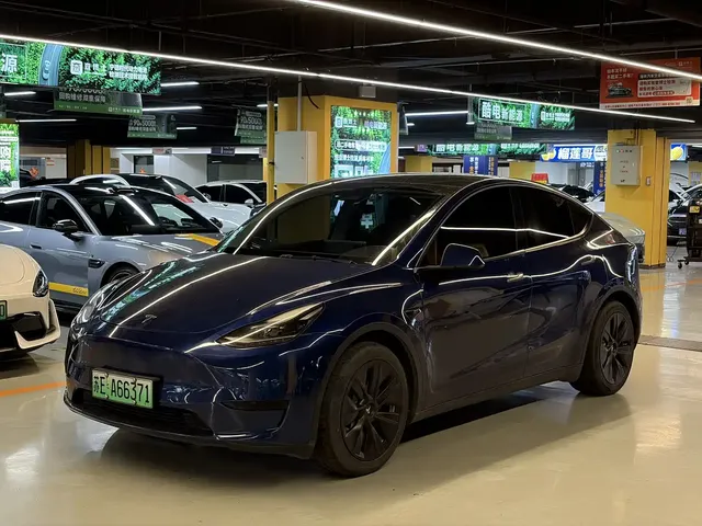 Tesla Model Y 2022 Rear-Wheel Drive Version