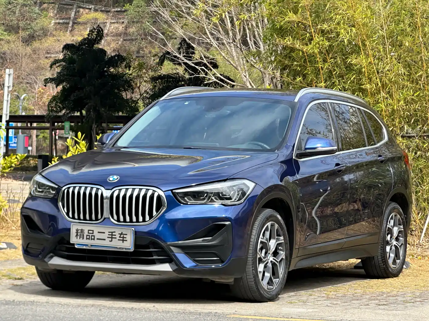 BMW X1 2020 sDrive25Li Leading Model