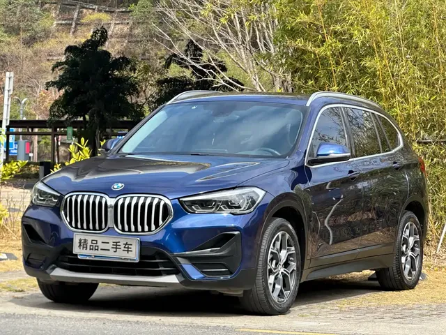 BMW X1 2020 sDrive25Li Leading Model