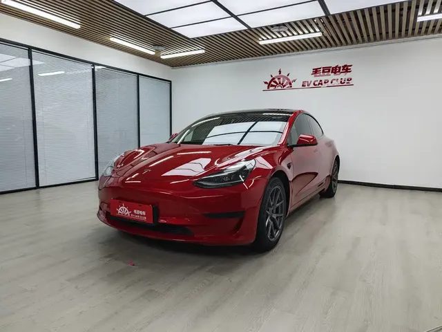 Tesla Model 3 2021 Standard Range Rear-Wheel Drive Upgrade