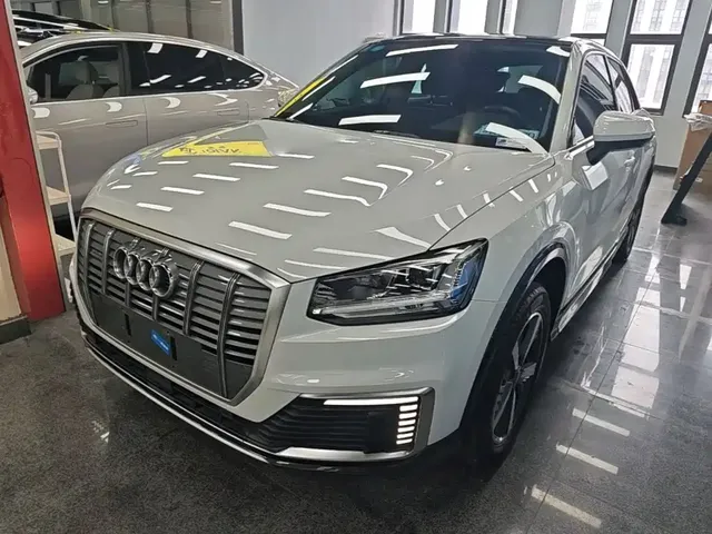 Audi Q2L e-tron 2019 Q2L e-tron Pure Electric Smart Cool Edition