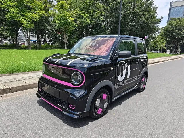 Geely Galaxy Panda 2025 Model Year 210km Panda Kart