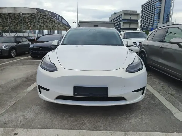 Tesla Model Y 2024 Rear-Wheel Drive Version