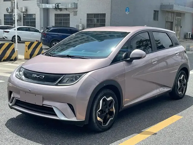 BYD Dolphin 2021 405km Freedom Edition
