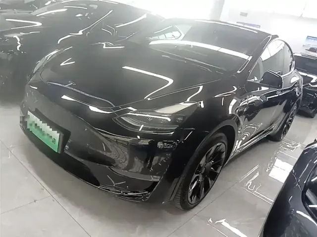 Tesla Model Y 2021 Standard Range Rear-Wheel Drive