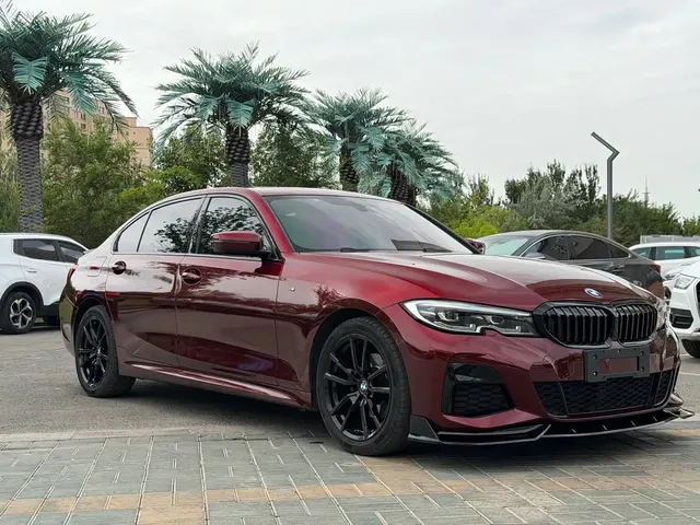 BMW 3 Series 2020 320Li M Sport Package
