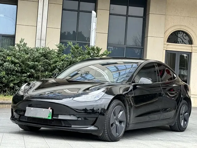 Tesla Model 3 2022 Model Rear-Wheel Drive Version