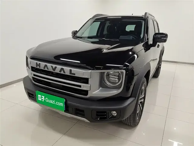 Haval Big Dog 2024 1.5T DCT Border Collie Edition