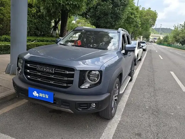 Haval Big Dog 2021 1.5T DCT 2WD Labrador Edition