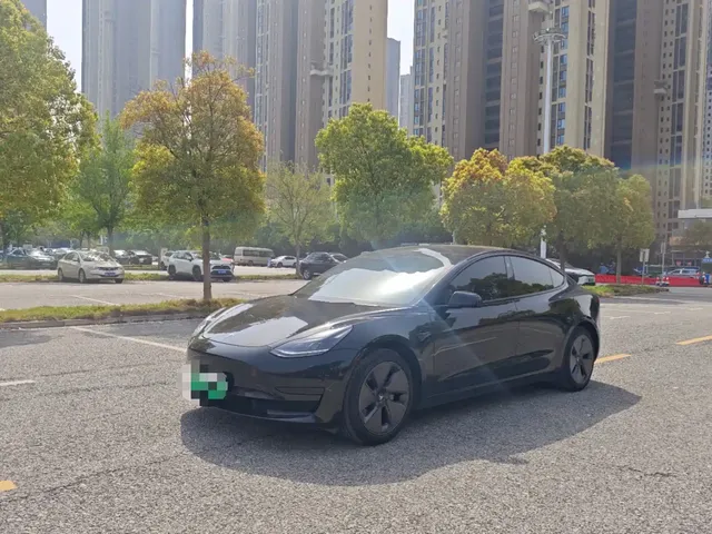 Tesla Model 3 2022 Model Rear-Wheel Drive Version