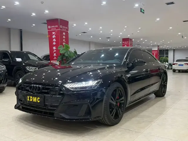 Audi A7L 2022 45 TFSI quattro S-line Paladin