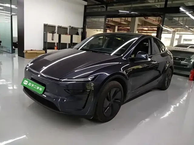 Tesla Model Y 2025 Model Rear-Wheel Drive Launch Edition