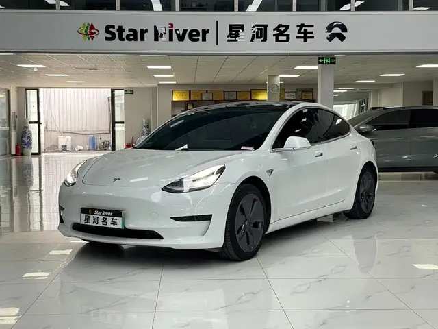 Tesla Model 3 2020 Standard Range Rear-Wheel Drive Upgrade