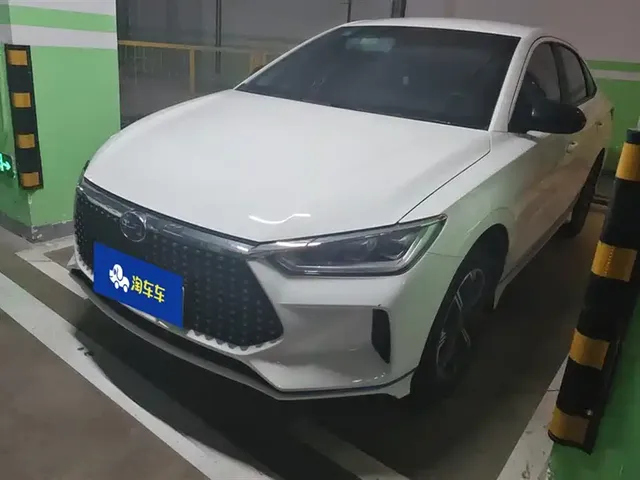 BYD e3 2020 Long Range Edition Glamour Luxury Model