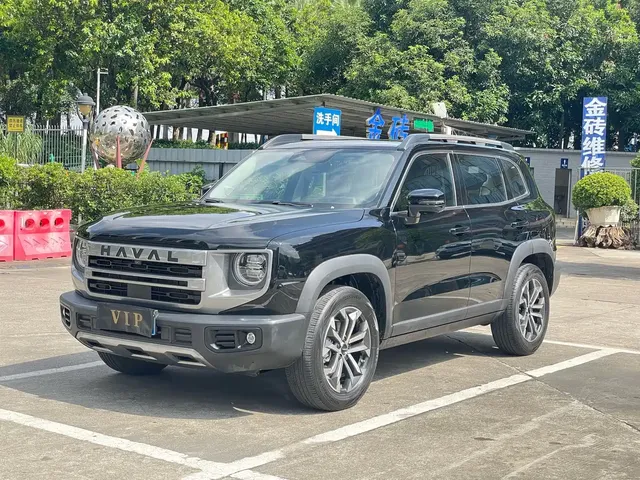 Haval Big Dog 2024 1.5T DCT Border Collie Edition