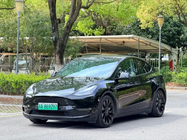 Tesla Model Y 2021 Performance High-Performance AWD