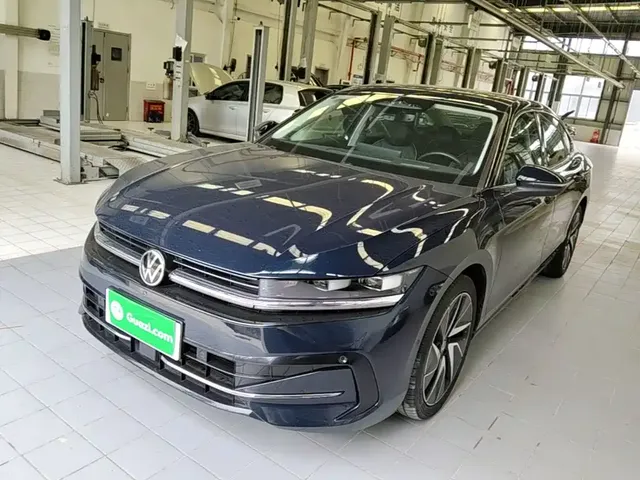 Volkswagen Magotan 2024 380TSI DSG Ultimate Edition