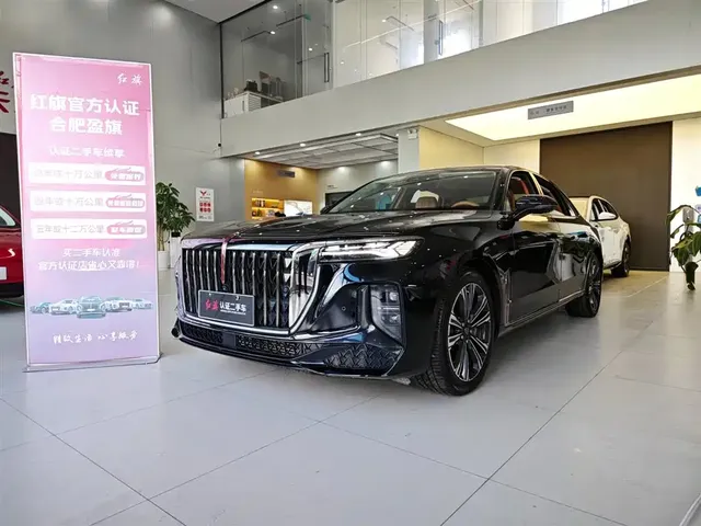 Hongqi H9 2024 2.0T Qi Enjoy Private Fashion Edition
