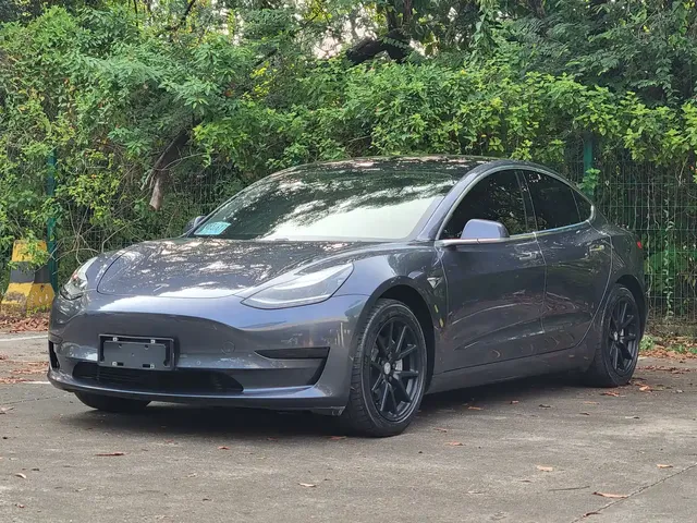 Tesla Model 3 2020 Standard Range Rear-Wheel Drive Upgrade