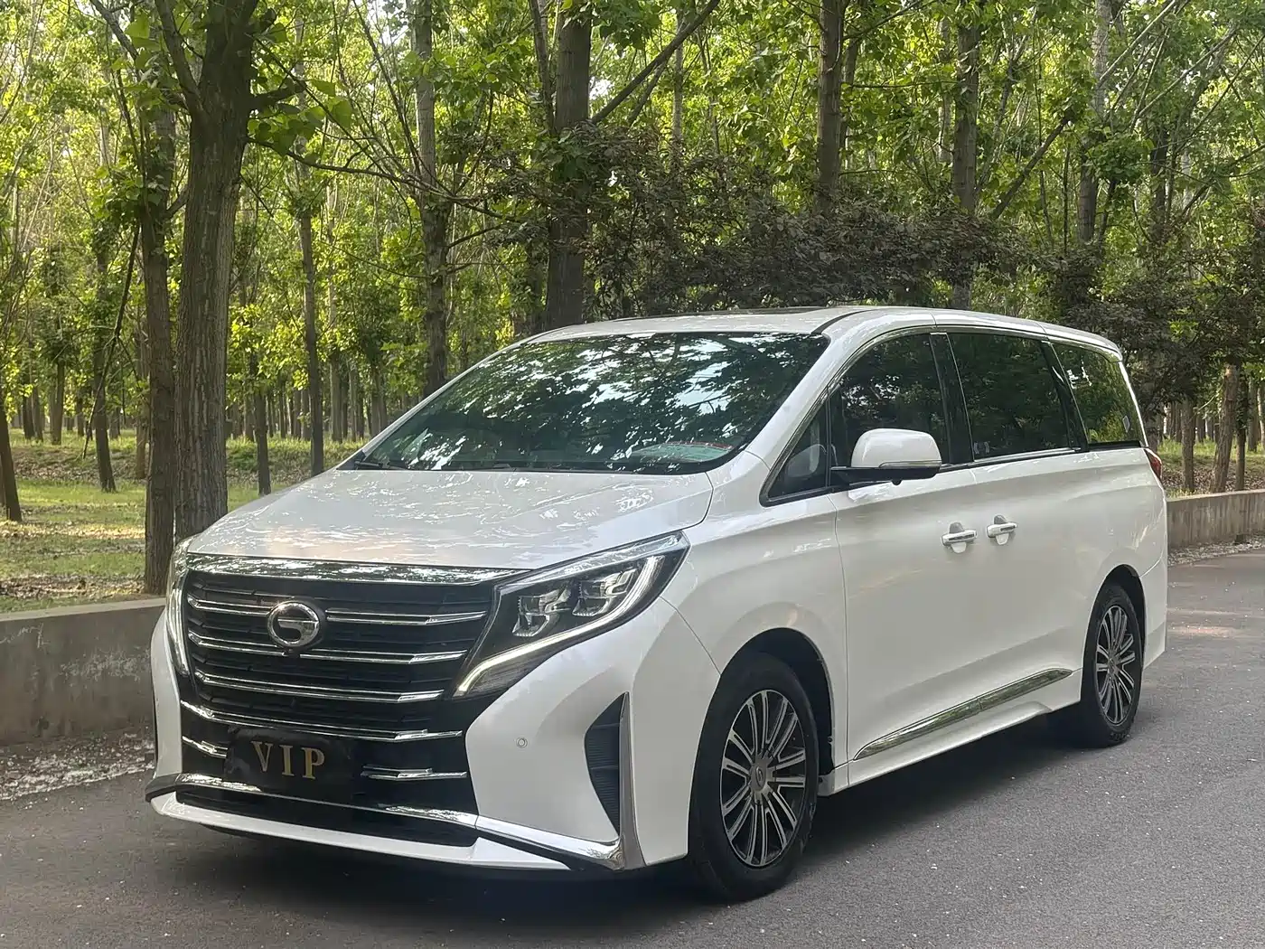 GAC Trumpchi M8 2021 Leading Show Series 390T Ultimate Edition