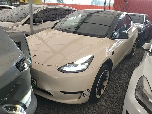 Tesla Model Y 2021 Standard Range Rear-Wheel Drive