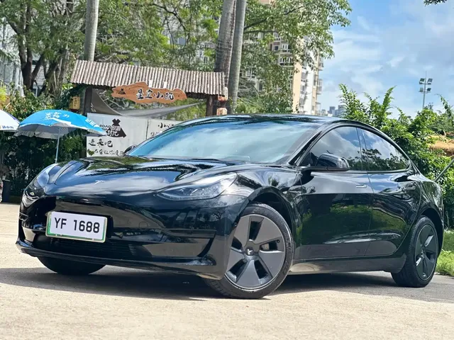 Tesla Model 3 2022 Model Rear-Wheel Drive Version