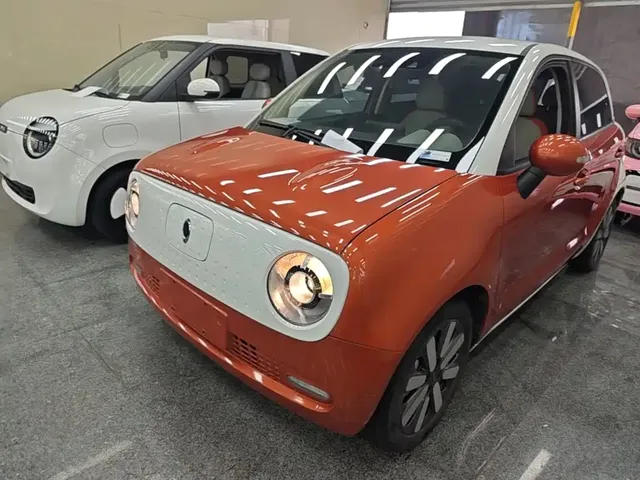 Ora Black Cat 2021 351km Luxury Model