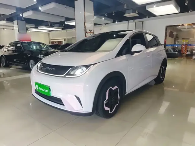 BYD Dolphin 2021 Model 405km Fashion Edition